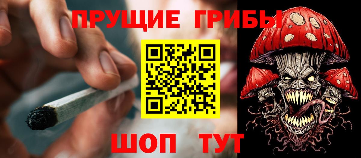 Галлюциногенные грибы Psilocybine cubensis  купить наркотики цена  Волжский  Вход с VPN 