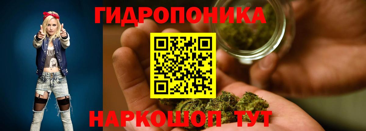 МАРИХУАНА план  Каннабис гибрид  Вход с VPN  Волжский  Канабис сатива  Шишки марихуана планчик 